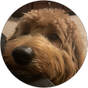 Suzette F. profile picture