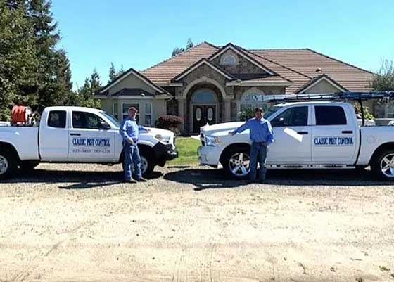 Classic Pest Control Trucks