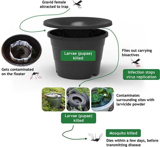 How the In2Care Mosquito Trap Works